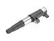 Bosch Car Ignition Coil for Renault Clio / Megane
