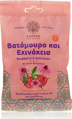 Garden Καραμέλες Dropsuri fără Gluten Afine și Echinacea 60gr