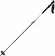 Salomon MTN Carbon S3 Ski Pole Multicolour