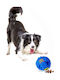 ANM-0008 Dog Toy Ball Medium with Sound Blue 10cm