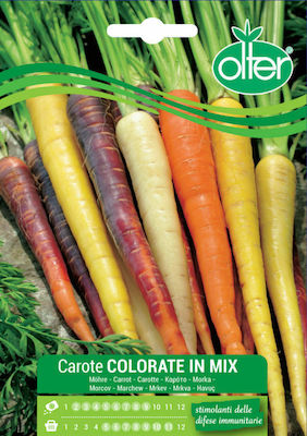 Olter Seeds Carrot Mix Colourful Mix