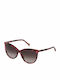 Carolina Herrera Women's Sunglasses with Brown Tartaruga Plastic Frame