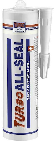 Turbo All Seal Silikon-Dichtungsmittel Gray 310ml 1Stück