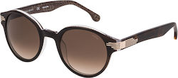 Lozza Trilussa Sunglasses Brown with Acetate Frame & Brown Lens