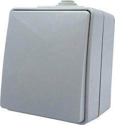 Aca Army Wandschalter mit Rahmen 10A IP55 Grau