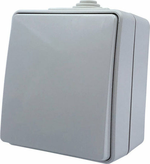 Aca Army Διακόπτης Μπουτόν 10A IP55 σε Γκρι Χρώμα 1000432306