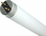 Fluorescent Lamp with Shape T8 58W