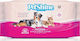 Pet Camelot Petshine 40 Μαντηλάκια Σκύλου & Γάτας για Καθαρισμό Σώματος με Αλόη χωρίς Αλκοόλ