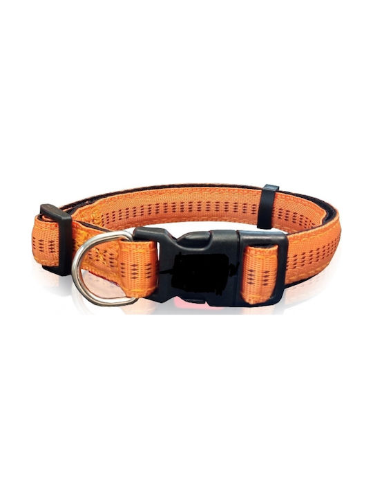 Pet Interest Stripes Dog Collar in Orange color...