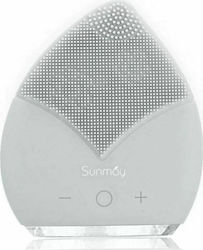 Sunmay Leaf Sunmay Leaf