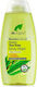 Dr.Organic Tea Tree Τονωτικό Shower Gel με Άρωμα Μέντα 250ml