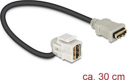 DeLock 86326 HDMI female σε HDMI female