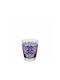 Cerve Charme Set of Glasses Water made of Glass Fuxia 300ml 3pcs