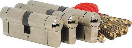 Lock Cylinder Security Arte 100mm (50-50) with 5 Keys Silver