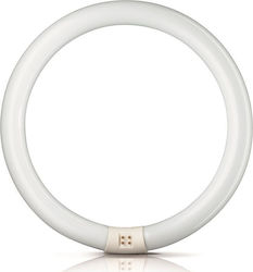 Philips Lampă Fluorescentă pentru Dulie G10Q cu Formă T9 40W