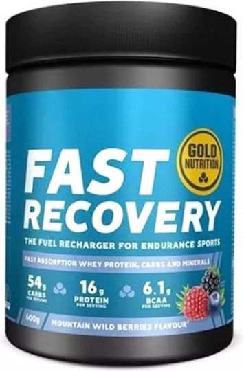 Gold Nutrition Fast Recovery Ειδικό Συμπλήρωμα Διατροφής 600gr Mountain Wild Berries
