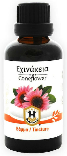 Herbstore Tincture Coneflower Tincture Echinacea 50ml