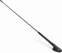 Carman Antenă Auto Plafon Înșurubat Ford Focus 2000-2007 60cm -> Ford Focus 2000-2007 60cm în Culoare Negru