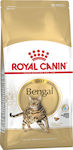 Royal Canin Bengal Adult Dry Cat Food for Cats with Sensitive Digestive System with Geflügel 10kg