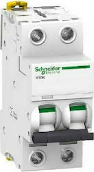 Schneider Electric Automatic Circuit Breaker 25...
