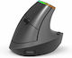 Delux M618DB Bluetooth Wireless Ergonomic Vertical Mouse Black