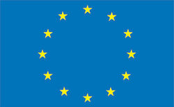 Flag of European Union 30x20cm