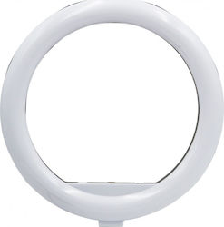 Andowl RGB Ring Light 33cm cu Tabletop Trepiadă