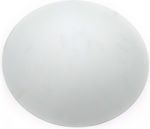 Adeleq Accessory for Lighting Fixtures Glass Ceiling Light Φ420mm White 21-090039