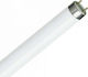 Ledvance Fluorescent Lamp for G13 Socket with T8 Shape and Natural White Light 36W