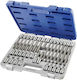 Expert Tools Μακριά Καρυδάκια με Μύτες Ribe και Καρέ Υποδοχής 1/2'' Σετ 32τμχ
