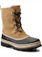 Caribou Brown
