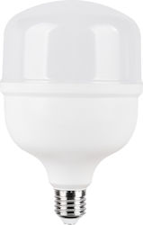 Evivak LED-Lampe 30W für Fassung E27 Naturweiß Evivak LED-Lampe 30W für Fassung E27 Naturweiß