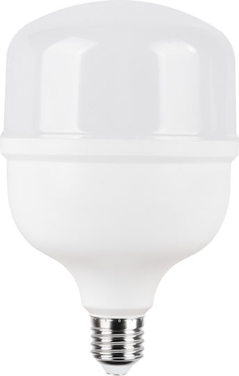 Evivak LED Bulb 30W for Socket E27 and Shape T160 Natural White 2700lm