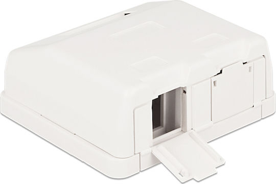 DeLock DeLock Mount Expansion Box 1 Piece