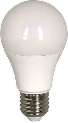 Eurolamp LED Lampen für Fassung E27 und Form A55 Kühles Weiß 480lm 1Stück