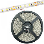 Avide ABLS12V2835-120NW65 Αδιάβροχη Ταινία LED Τροφοδοσίας 12V με Φυσικό Λευκό Φως Μήκους 5m και 120 LED ανά Μέτρο Τύπου SMD2835