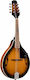 Soundsation BMA-60 VS Acoustic Mandolin
