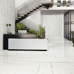 Ravenna Titanium Floor Interior Gloss Porcelain Tile 260x120cm White