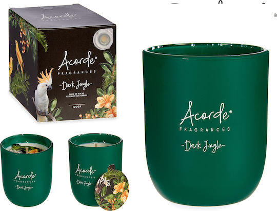 BigBuy Aromatic Candle In Jar With Dark Jungle / Jasmine of the Night Perfume 120gr