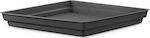 Plastona 10.01.0057 Square Plate Pot Black 36x36cm