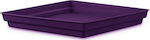 Atmosphera 10.01.0003 Square Plate Pot Purple 26x26cm