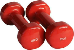 24881 Dumbbell 1 x 2kg