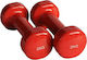 24881 Dumbbell 1 x 2kg