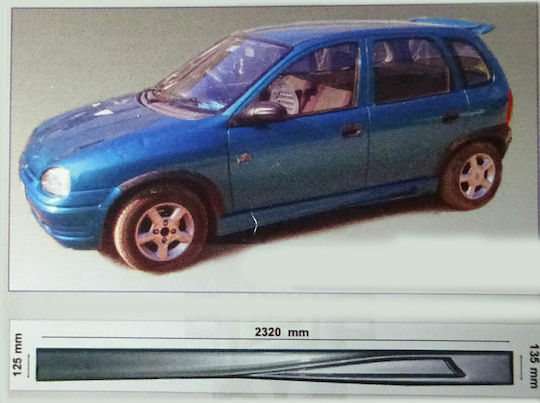 Motordrome Türschweller Auto Seitwärts Kompatibel mit Ford Focus C