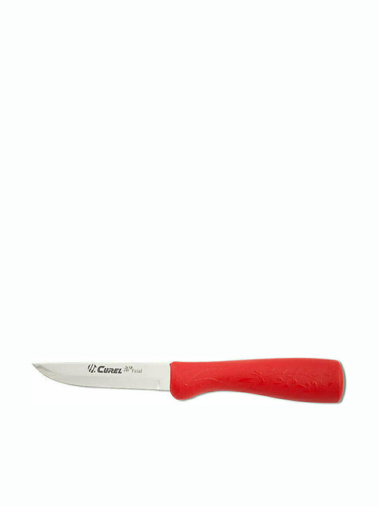 Curel Portogal General Use Knife from Stainless...