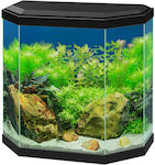 Ciano Aqua 30 Aquarium mit einer Kapazität von 25Es mit Beleuchtung, Filter und 40x20x40.2cm. Schwarz