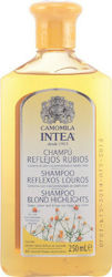 Intea Camomila Shampoos Color Maintenance for All Hair Types 250ml