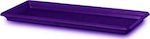 Atmosphera 340P Rectangular Plate Planter Purple 35x15cm