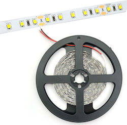 Avide ABLS24V2835-120NW20 Bandă LED Alimentare 24V cu Lumină Alb Natural Lungime 5m și 120 LED-uri pe Metru SMD2835