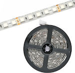 Avide ABLS24V5050-84RGBW65 Rezistentă la apă Bandă LED Alimentare 24V RGBW Lungime 5m și 84 LED-uri pe Metru SMD5050